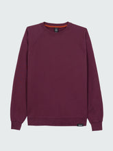 Organic Cotton Sweatshirt in Purple - Coho