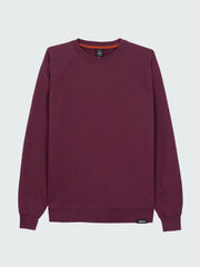 Organic Cotton Sweatshirt in Purple - Coho