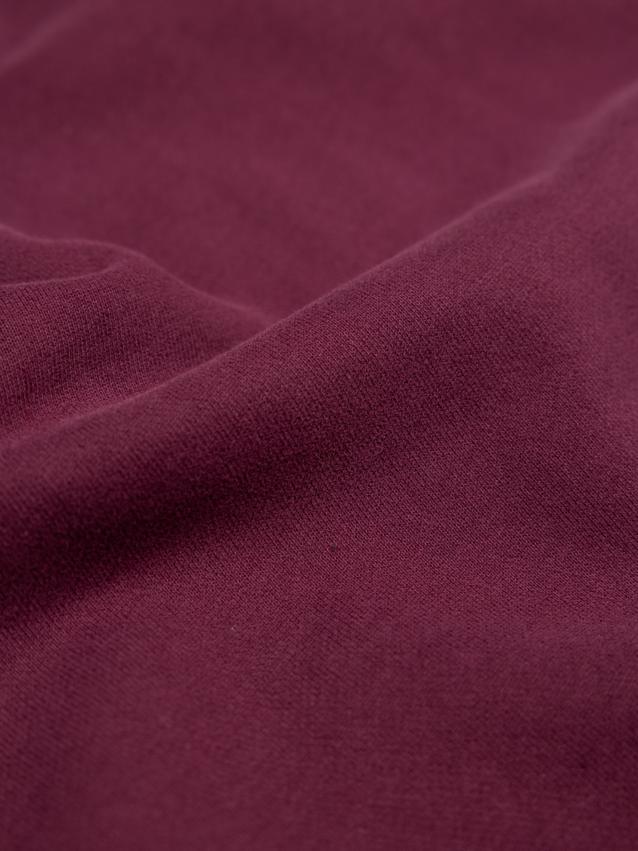 Organic Cotton Sweatshirt in Purple - Coho