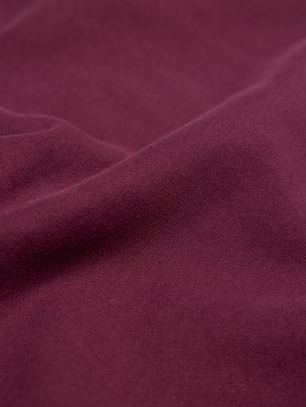 Organic Cotton Sweatshirt in Purple - Coho