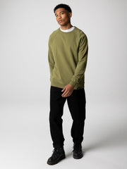 Organic Cotton Sweatshirt in Seagrass - Coho