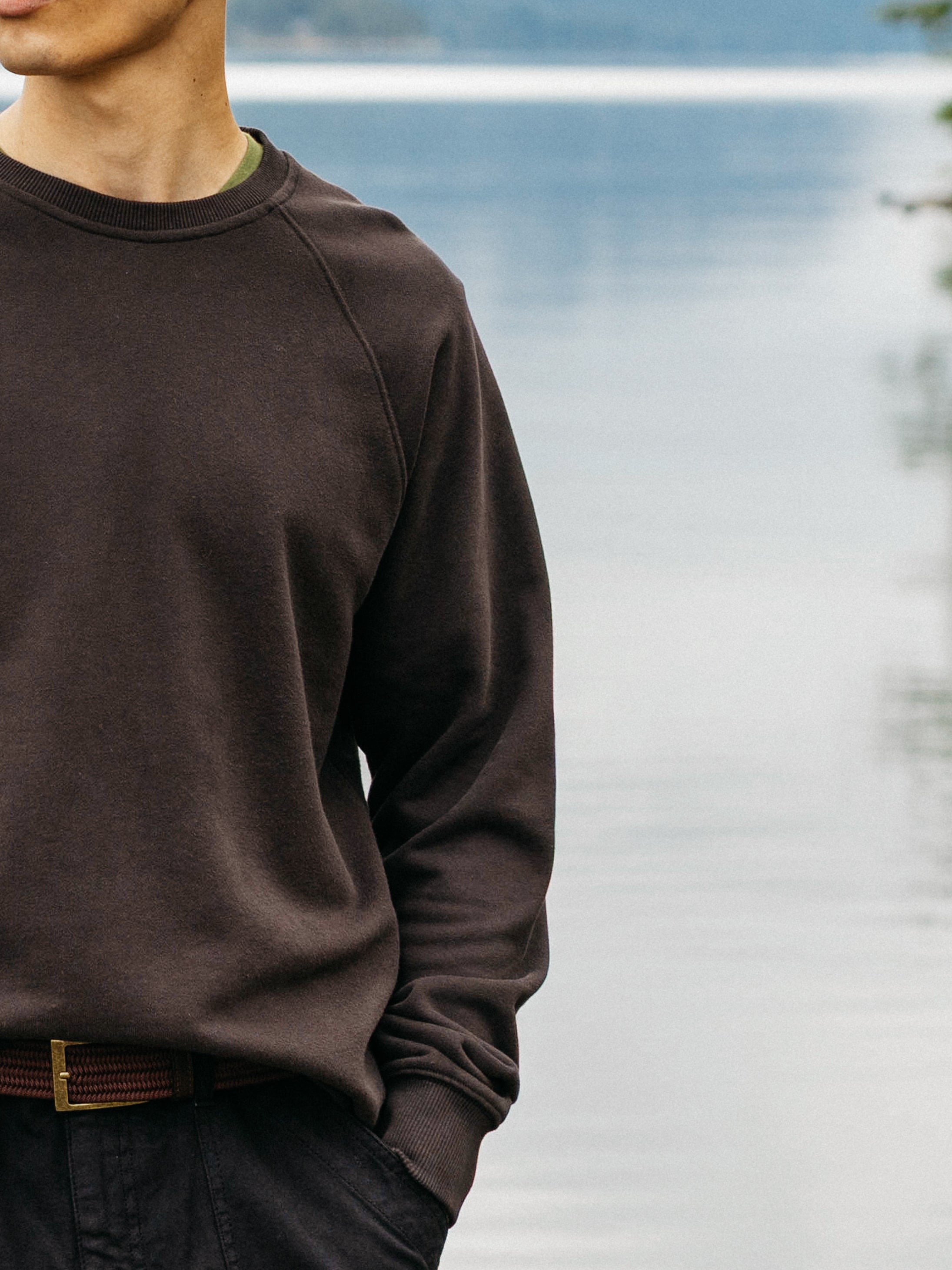 Organic Cotton Sweatshirt in Brown - Coho
