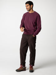 Organic Cotton Flannel Lined Trousers in Brown